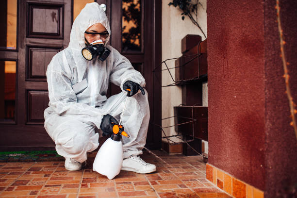 Attic and Crawl Space Rodent Treatment in Jan Phyl Village